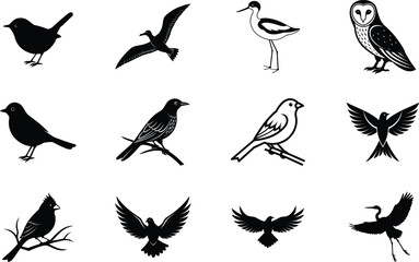 Diverse Bird Collection Silhouettes, Icons, Avian Wildlife Illustrations