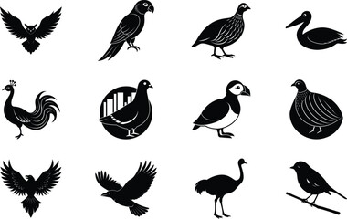 Diverse Avian Species Black and White Bird Icons Set
