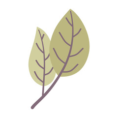 Leaves on a branch, colored. Cute illustration, vector, color, simple