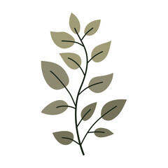 Leaves on a branch, colored. Cute illustration, vector, color, simple