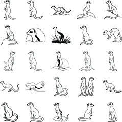 Meerkat Illustrations Diverse Poses, Black and White Drawings