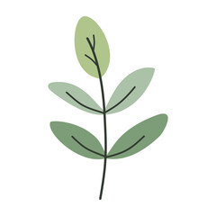 Leaves on a branch, colored. Cute illustration, vector, color, simple