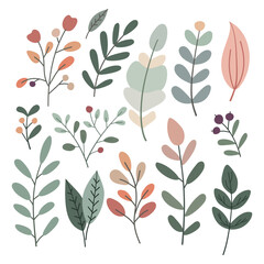Set of leaves and flowers. Cute illustration, vector, color, simple.