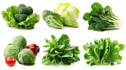 variety of fresh green vegetables including broccoli, lettuce, and spinach