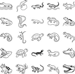 Reptiles, Amphibians, and Lizards A Collection of Line Drawings