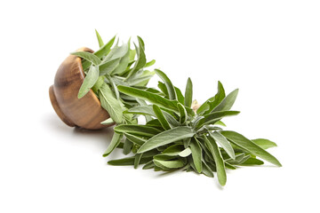 Fresh green sage leaves overflowing from a wooden bowl, showcasing their vibrant color and textured...