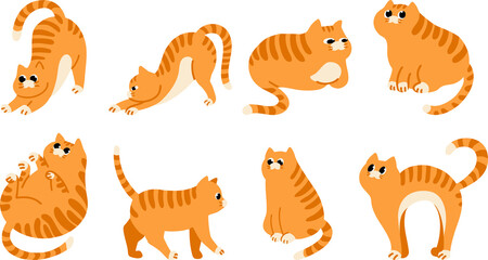 vector illustration of a cat