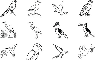 Diverse Avian Species Line Art Illustrations of Birds