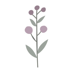  Berries. Cute illustration, vector, color, simple.