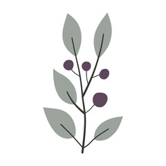  Berries. Cute illustration, vector, color, simple.