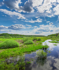 Fototapeta premium Field with a river running through it and a few trees