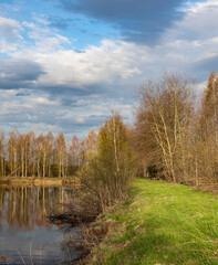 Lake with a forest in the background