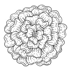 Hand drawing style of flower vector. It is suitable for plants or flowers icon, sign or symbol.