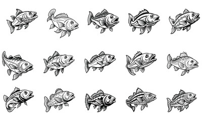 Cod Fish Coloring Page for Adults, Intricate Line Art for Relaxation and Stress Relief, Ideal for Adult Coloring Books or Printable Art Therapy, High-Quality Detailed Illustration.