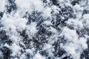 Frozen Snow Texture on Dark Surface