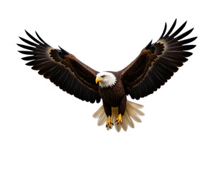 Naklejka premium Bald eagle in flight with outstretched wings, transparent background