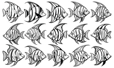 Detailed Angelfish Fish Coloring Page for Adults, Elegant Line Art Design for Stress Relief and Relaxation, Perfect for Printable Art Therapy or Adult Coloring Books, High-Quality Artwork.