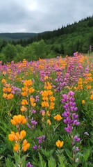 Flowers bloom on hillside near forested mountains