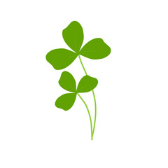 Illustration of green clover plant 
