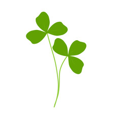 Illustration of green clover plant 