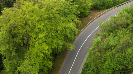 Curving road through lush green trees captures the beauty of nature in a serene environment