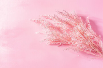 Fototapeta premium Pink Pastel Background with a Sprig of Dried Flowers, Top View, Flat Lay, Copy Space