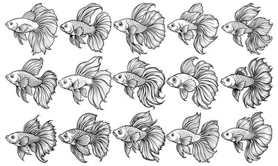 Intricate Betta Fish Fish Coloring Page for Adults, Beautiful Line Art for Stress Relief and Relaxation, Ideal for Adult Coloring Books or Printable Art Therapy, High-Resolution Illustration.