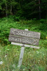 Wooden sign post showing the way on Tara mountain, Serbia