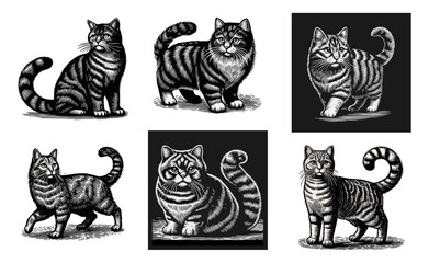 Cat engrave illustration template design