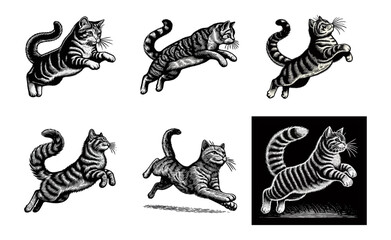 Cat engrave illustration template design