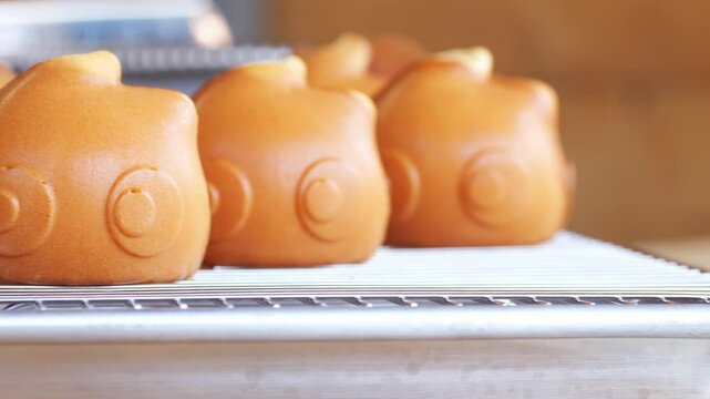 Tokyo street food sweets Ningyo - yaki. Japanese shaped sponge cakes, small baked pastries made in special molds, filled with sweet red bean paste - anko or custard cream.