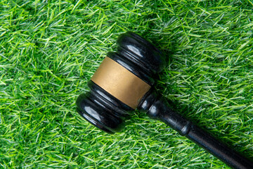 A wooden gavel on vibrant green grass. Environmental law, justice, and nature concept.