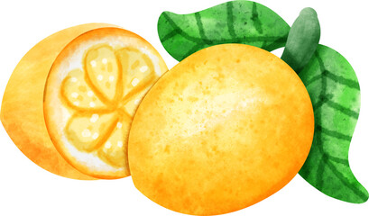 watercolor lemon fruit