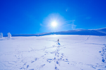 山形蔵王の美しい樹氷