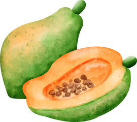 watercolor papaya