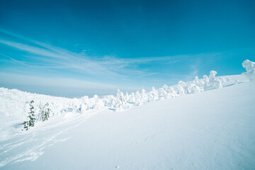 山形蔵王の美しい樹氷