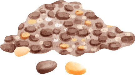 watercolor chia seed