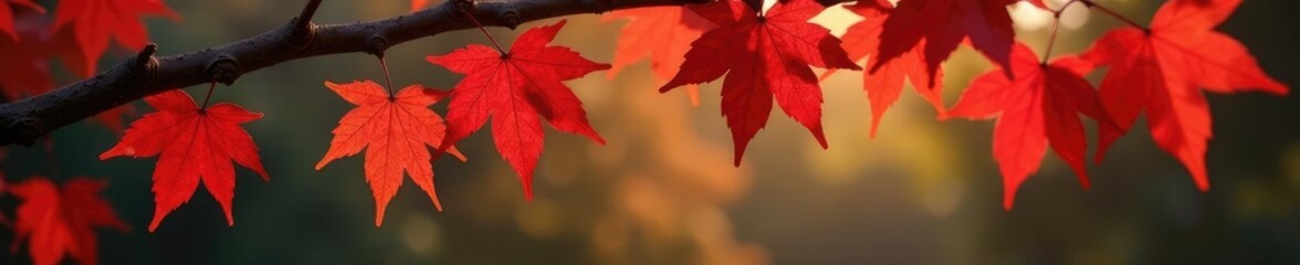 Red maple seeds on a branch against dark brown bark, tree seeds, autumn