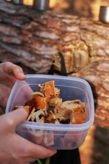 Snack, coffee break in forest or park during hike or walk. Thermoses and metal mugs with coffee or tea stand on pine log. Pieces of pastries with cinnamon in plastic container in man's hands close-up.