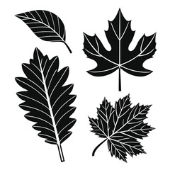 Obraz premium set of autumn leaves