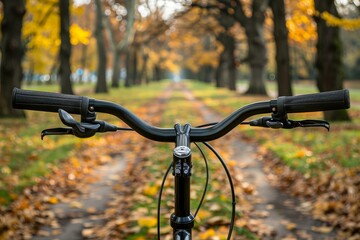 Biking Through a Scenic City Park Path Surrounded by Autumn Foliage and Trees