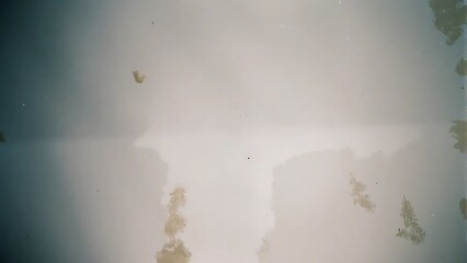 Analysis of Sediment Patterns in a Still Water Body