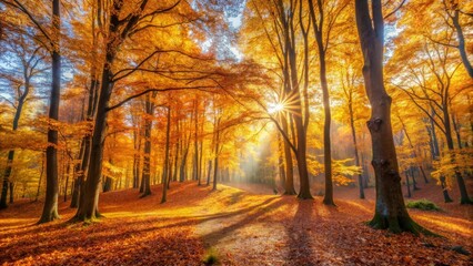 Fototapeta premium Golden Sunbeams Illuminating a Pathway Through an Autumnal Forest of Tall Trees with a Carpet of Fallen Leaves