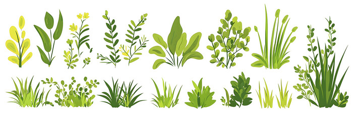 A row of green plants with some of them being ferns