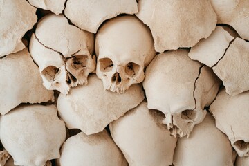 Fototapeta premium A close up of aged human skulls stacked together, showcasing intricate cracks and textures in a somber atmosphere Ideal for concepts of mortality, history, and life s fragility