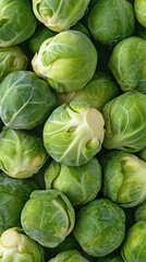 Fototapeta premium Brussels sprouts vertical background. Realistic vegetable texture. For veggie related theme