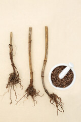 Valerian herb root natural healing herbal medicine with mortar on hemp paper background. Used to...