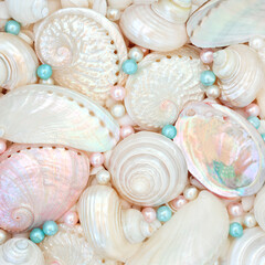 Seashells and pearls symbols of the sea background with mother of pearl abalone, troca and turbo...