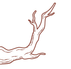 Fototapeta premium tree branch lines vector icon