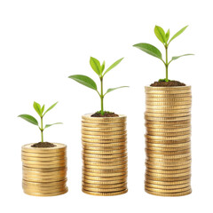 Growing plants emerge from stacks of coins, symbolizing the concept of financial growth and investment.